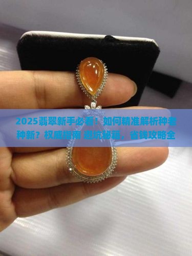 翡翠怎么区分种老和种新