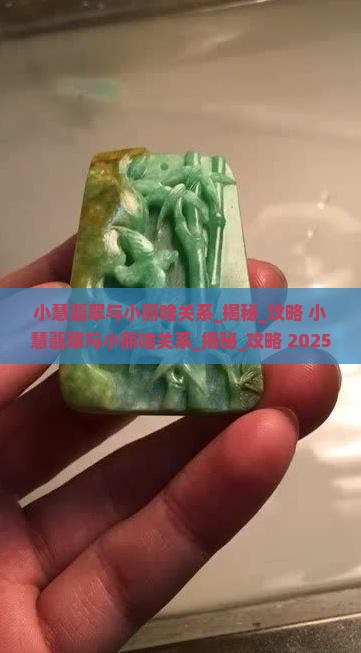 小慧翡翠与小丽啥关系