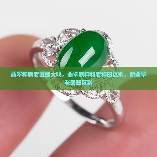 翡翠种新老区别