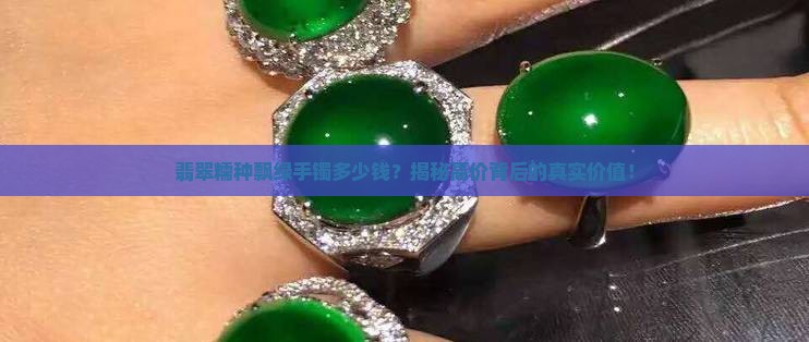 翡翠糯种飘绿手镯什么价格