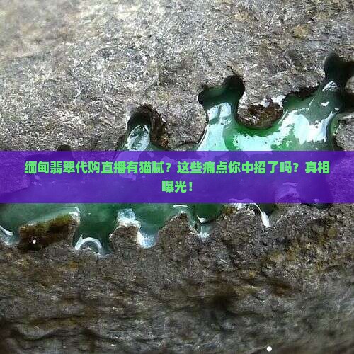 缅甸翡翠代购直播猫腻