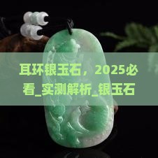 耳环银玉石