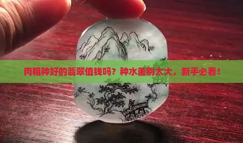 肉粗种好的翡翠值钱吗
