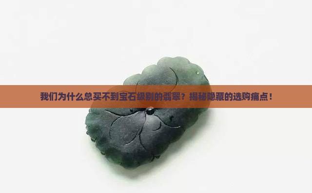 我们一起来欣赏宝石级别的翡翠