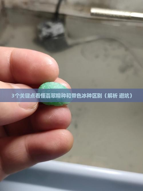 翡翠糯种和带色冰种区别在哪 翡翠糯种和带色冰种区别在哪