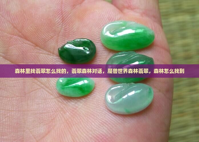 森林里找翡翠怎么找的
