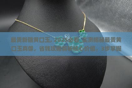 最贵新疆黄口玉