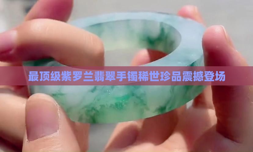 最顶级紫罗兰翡翠手镯