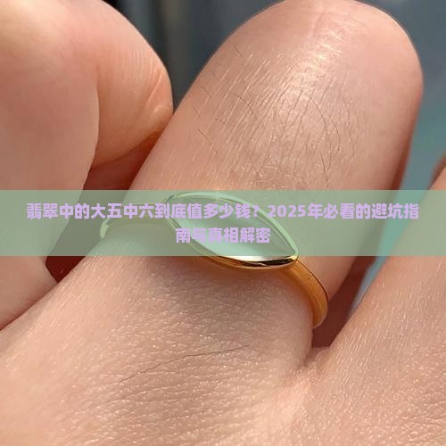 翡翠中的大五中六是什么价格