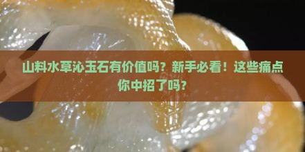 山料水草沁玉石有价值吗