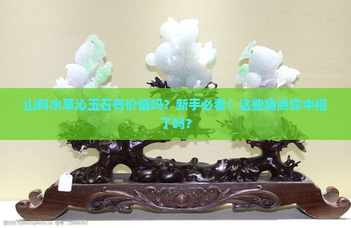 山料水草沁玉石有价值吗