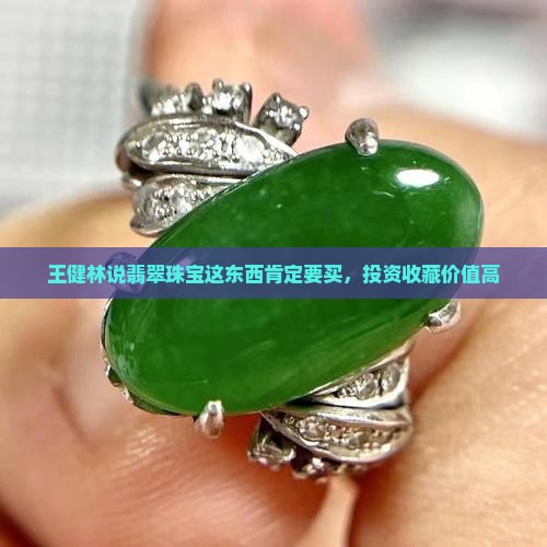 王健林说翡翠珠宝这东西肯定要买
