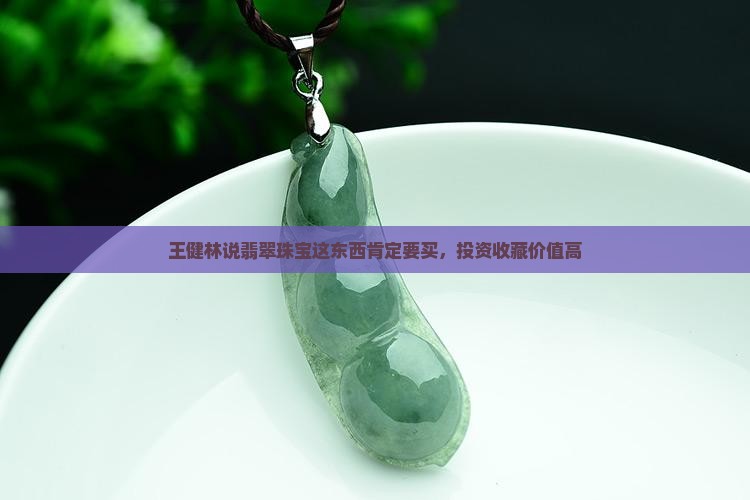 王健林说翡翠珠宝这东西肯定要买