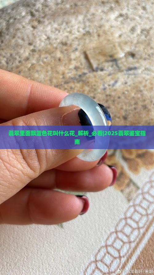 翡翠里面飘蓝色花叫什么花 翡翠里面飘蓝色花叫什么花