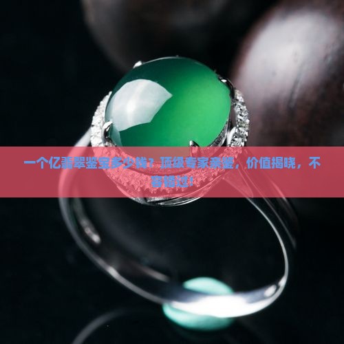 一个亿翡翠鉴宝多少钱