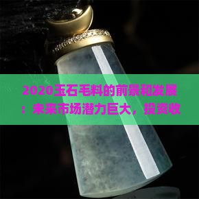 2020中国玉石毛料的前景和发展