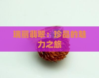 沈阳瑞丽翡翠