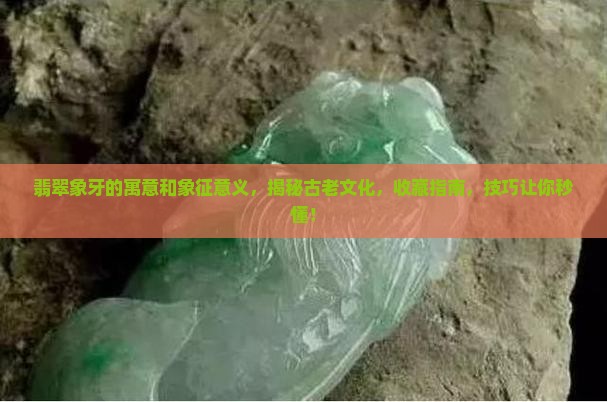 翡翠象牙的寓意和象征意义