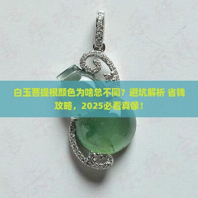 白玉菩提根有色差正常吗