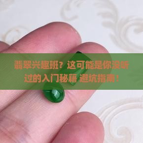翡翠兴趣班