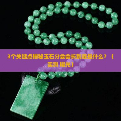 玉石分会会长什么意思