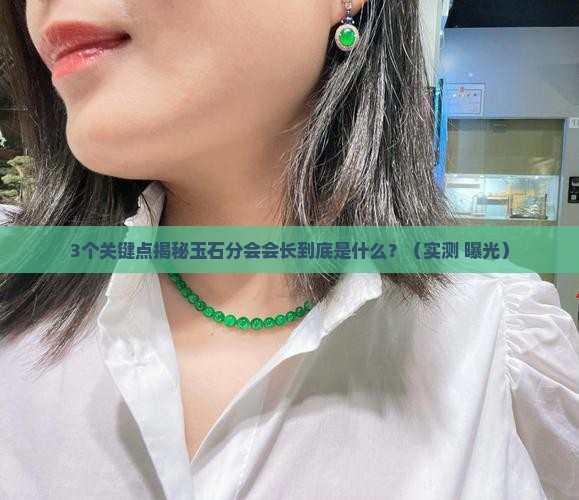玉石分会会长什么意思