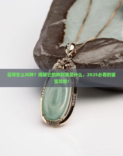 翡翠怎么叫种