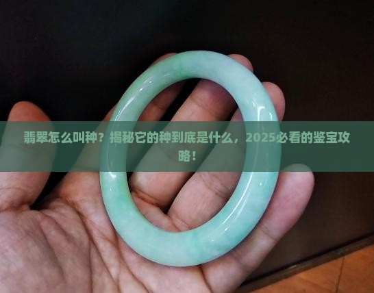 翡翠怎么叫种