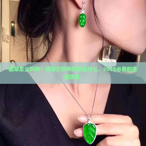 翡翠怎么叫种
