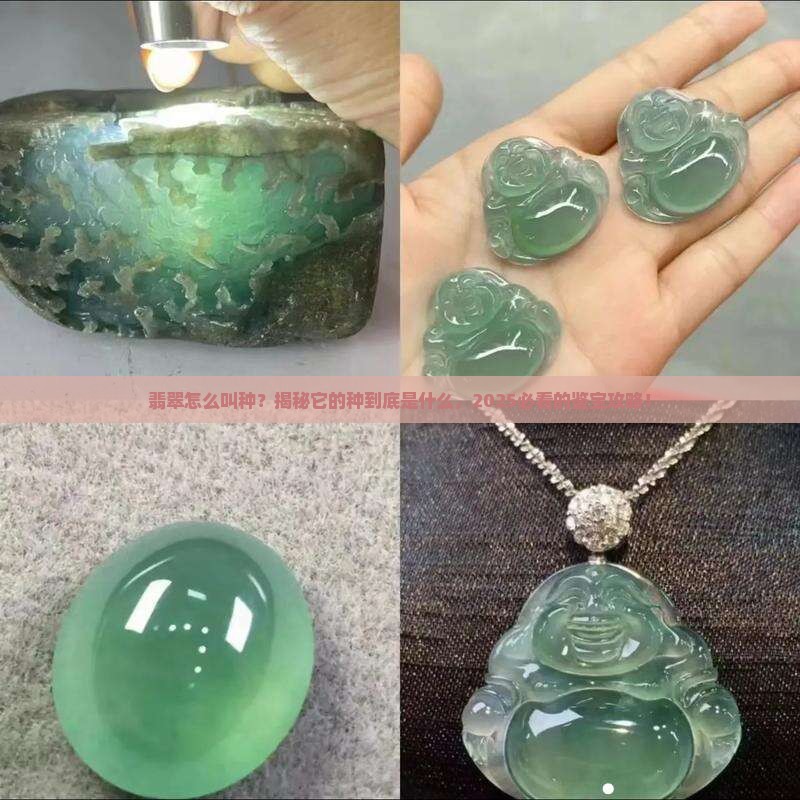 翡翠怎么叫种