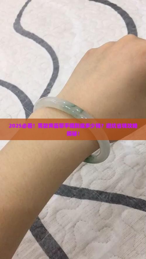 男款黄翡翠手镯多少钱一个