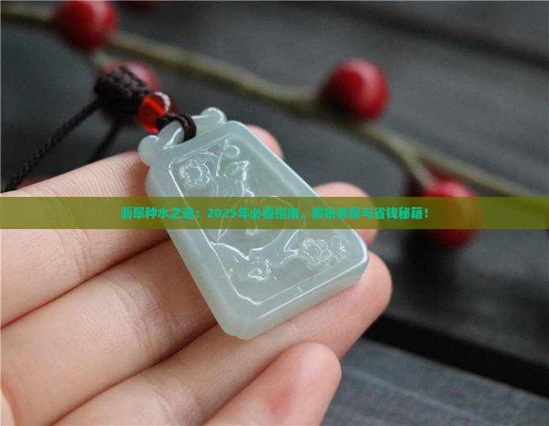 翡翠的种与水的区别是什么 翡翠的种与水的区别是什么