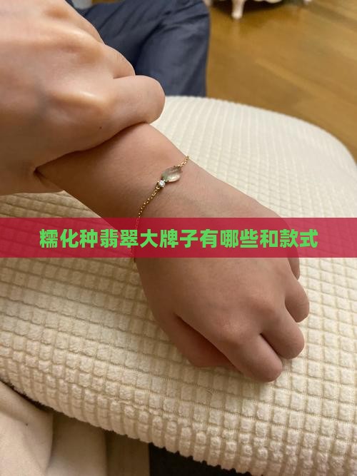 糯化种翡翠大牌子有哪些