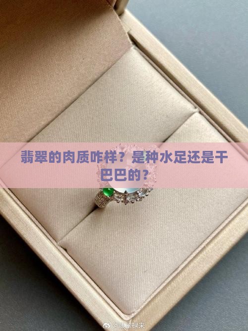翡翠的肉质