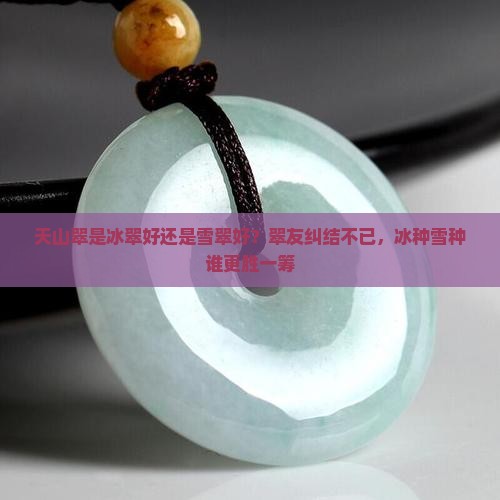 天山翠是冰翠好还是雪翠好