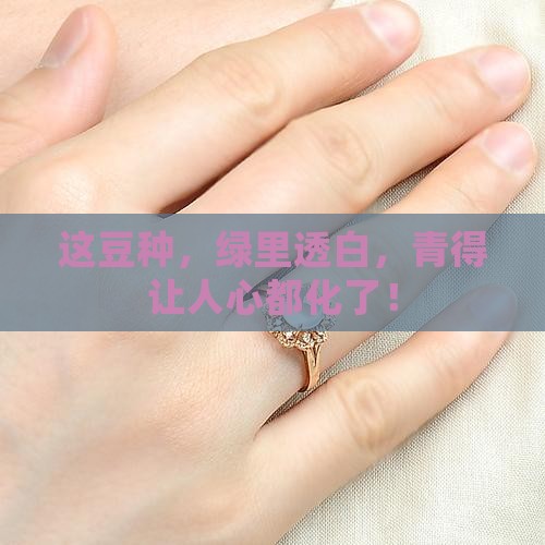 豆种白底青