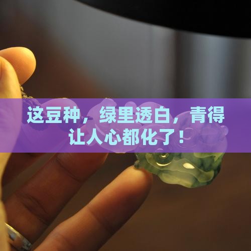 豆种白底青
