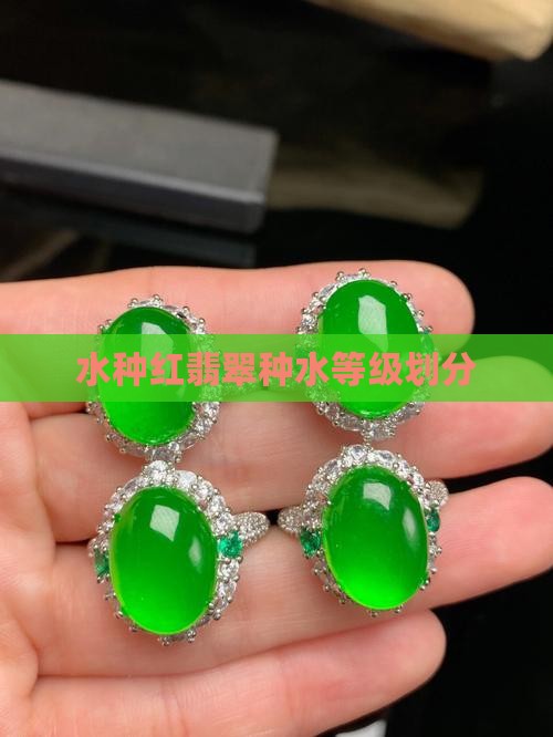 水种红翡翠