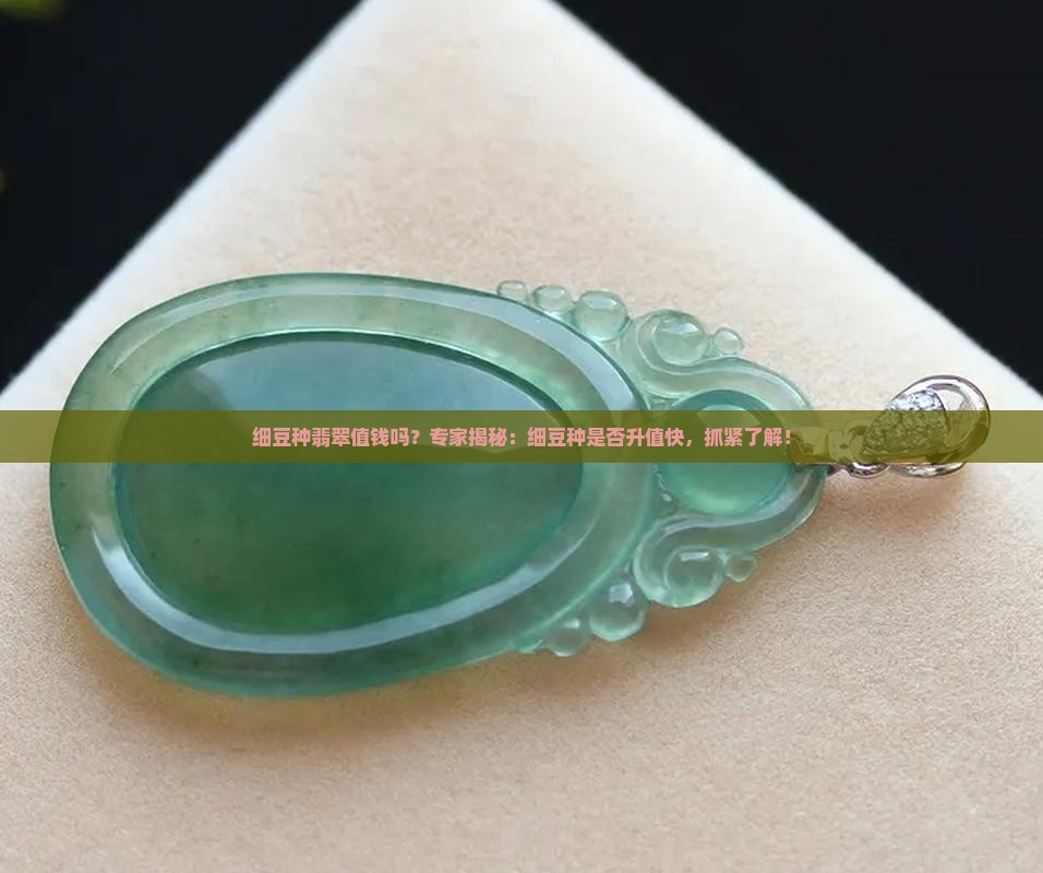 细豆种翡翠值钱吗