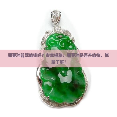 细豆种翡翠值钱吗