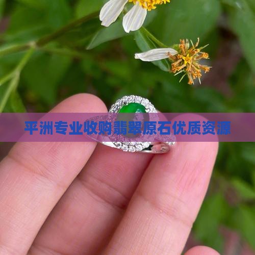平洲翡翠收翡翠原石吗