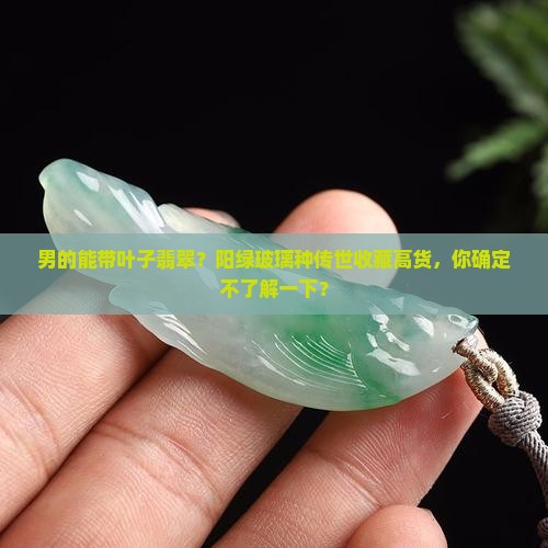 男的能带叶子翡翠