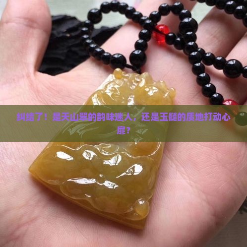 买天山翠好还是玉髓好