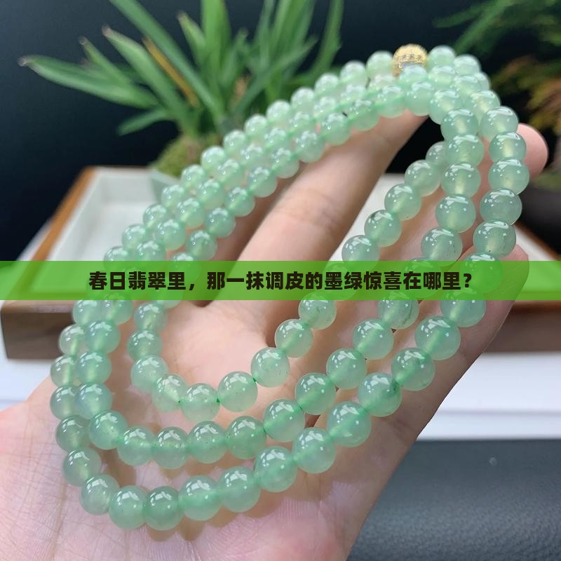 翡翠春彩有点墨绿