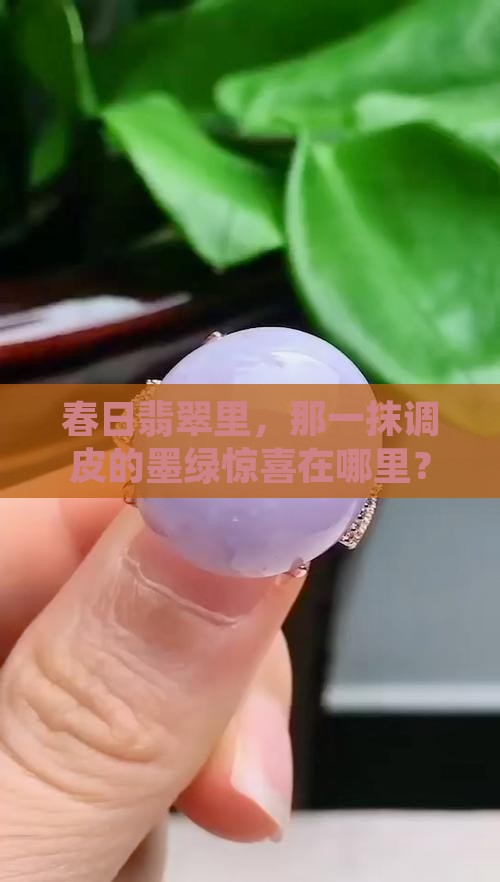 翡翠春彩有点墨绿