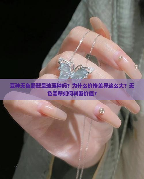 豆种无色翡翠