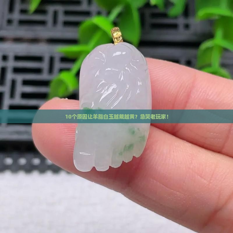 羊脂白玉越戴越黄呢 羊脂白玉越戴越黄呢