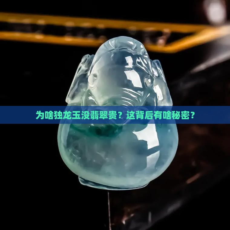 独龙玉为什么没有翡翠贵