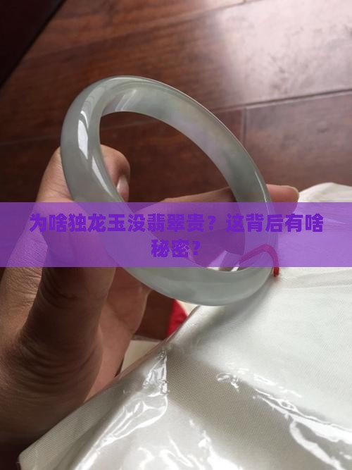 独龙玉为什么没有翡翠贵
