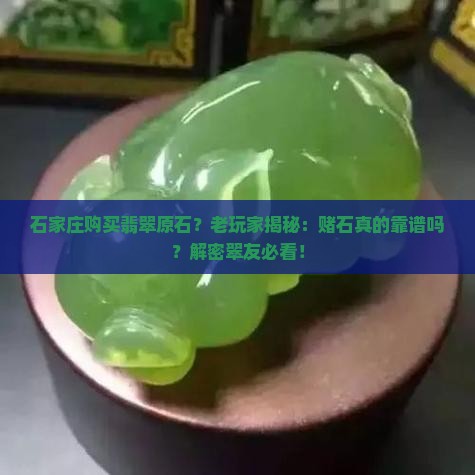 石家庄购买翡翠原石